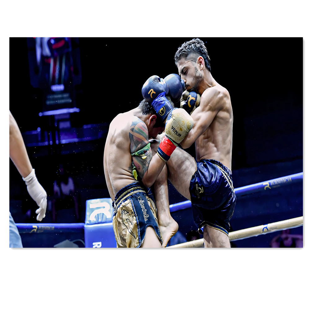 Fun Boxing Canvas Painting, Ma – обзор и цена Home Gym Wallpaper