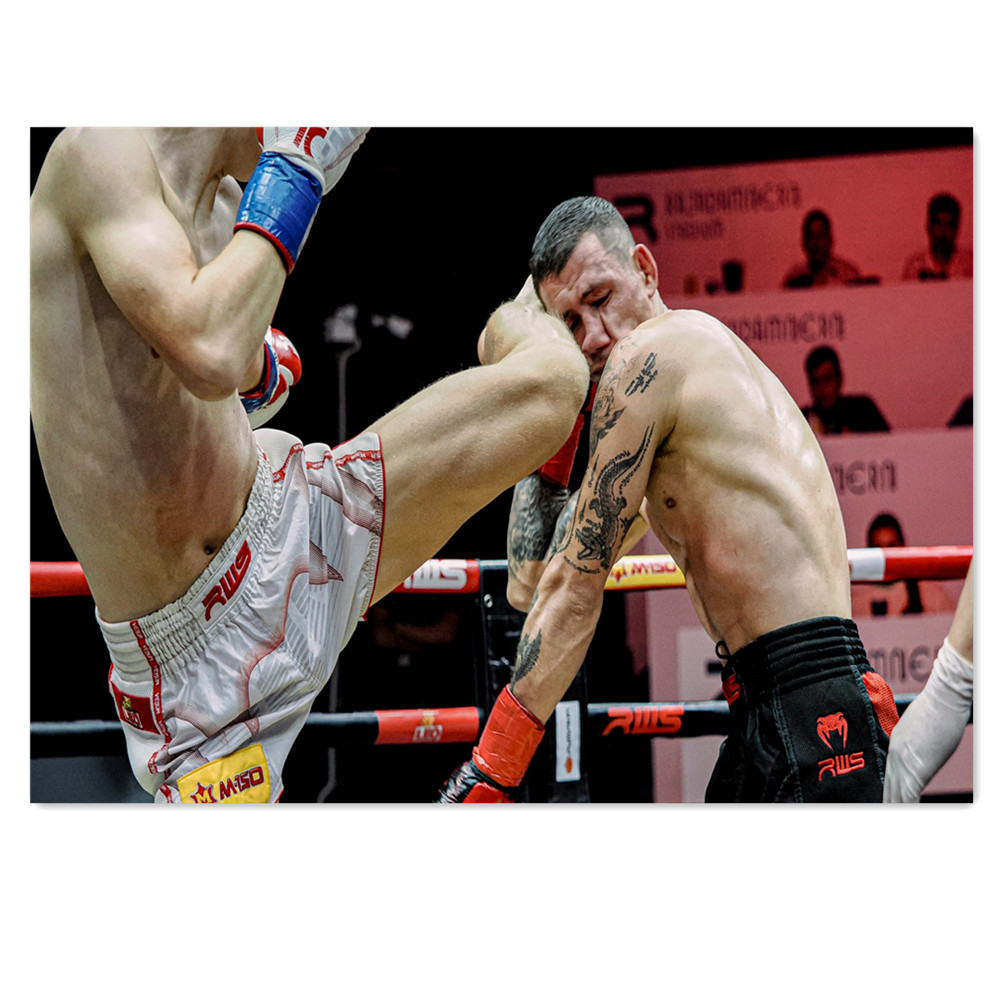 Muay Thai Stadium Canvas Paint – обзор и цена Home Gym Wallpaper